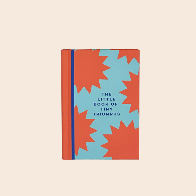 The Little Book of Tiny Triumphs