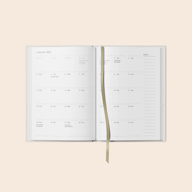 Main Character Energy 2027 Diary