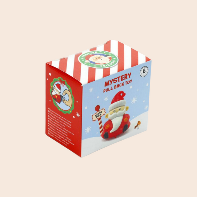 Mystery Festive Pull Back Toy