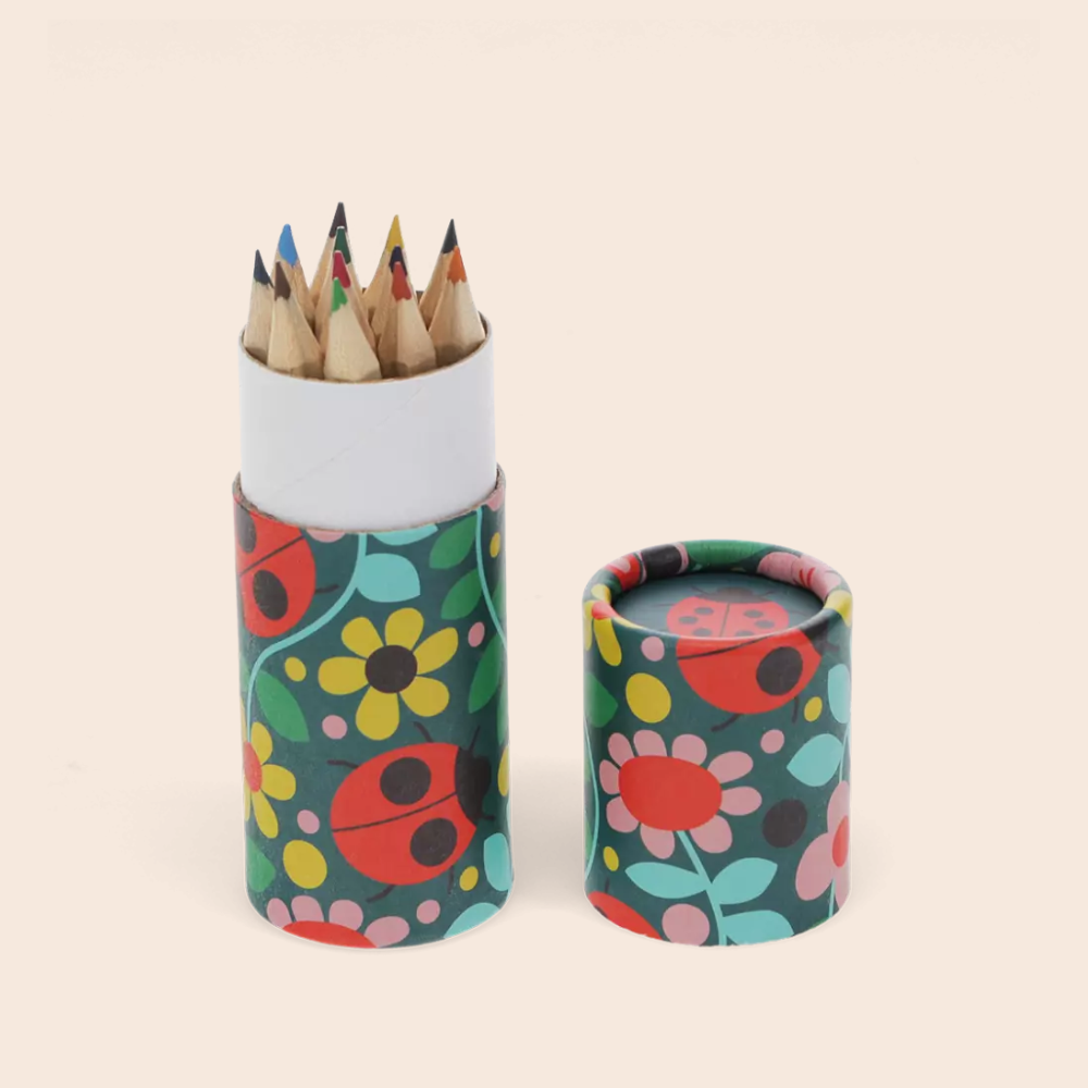Ladybird Pot Of Colouring Pencils