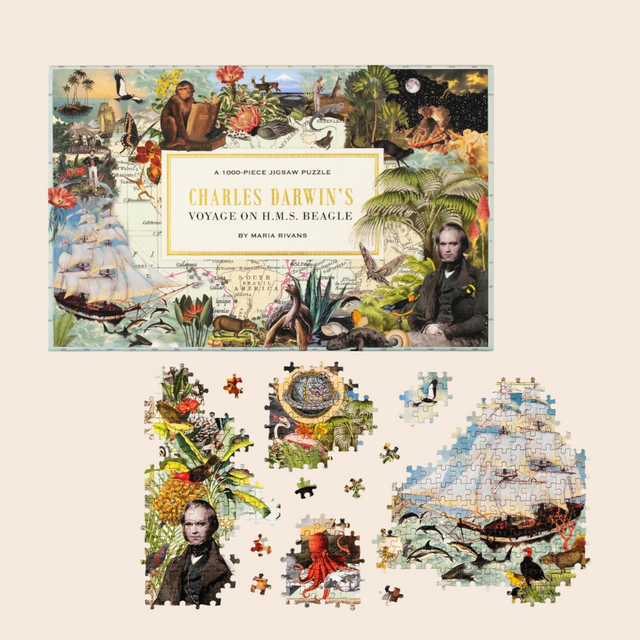 Charles Darwin's Voyage/ HMS Beagle Jigsaw