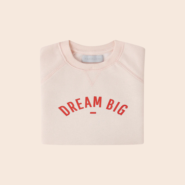 Dream Big Powder Pink Sweatshirt