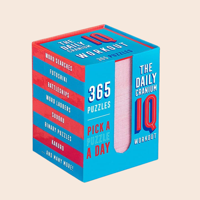 Puzzle A Day: 365 Puzzles