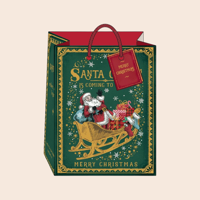 Santa Claus Story Medium Gift Bag