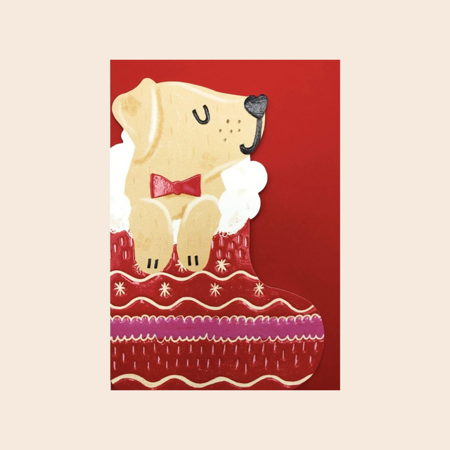 Dog in Stocking Christmas Card
