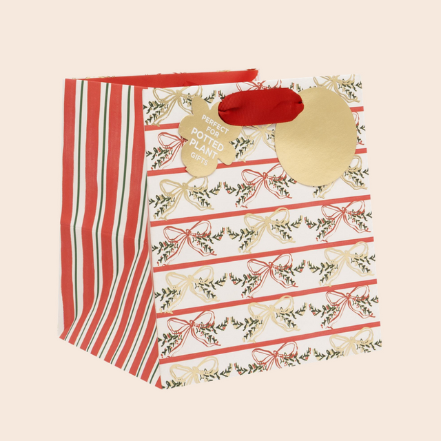 Square Joyful Ribbons Gift Bag