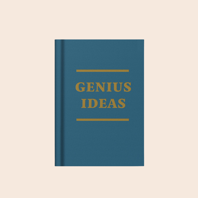 Genius Ideas Mini Notebook