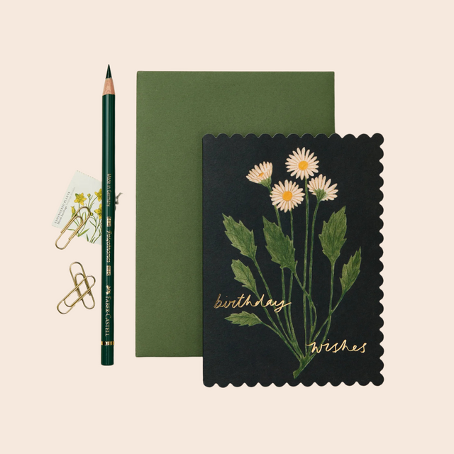 Botanical Daisy Birthday Wishes Card