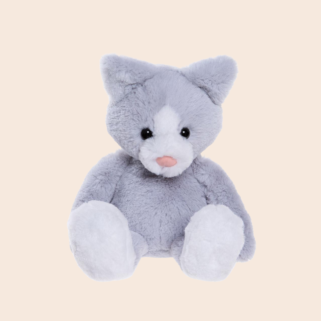 Medium Cloudy Grey Puddy Kitten