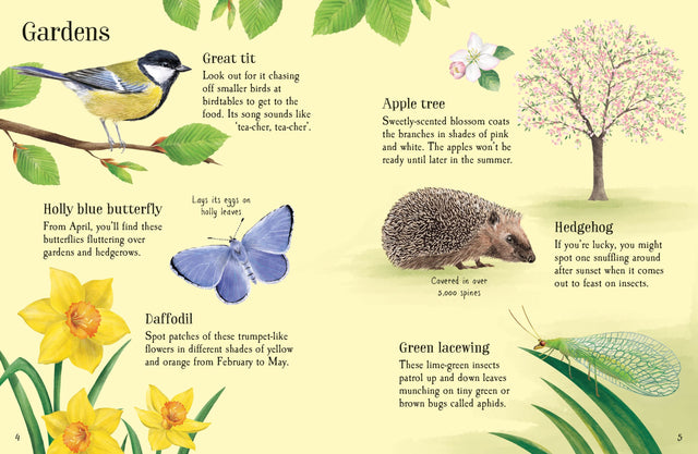 Usborne Minis: Things To Spot In Spring