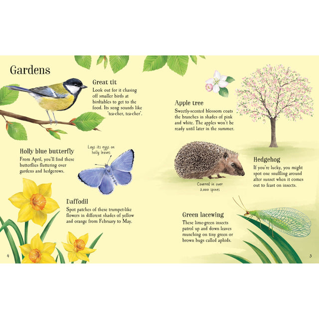 Usborne Minis: Things To Spot In Spring