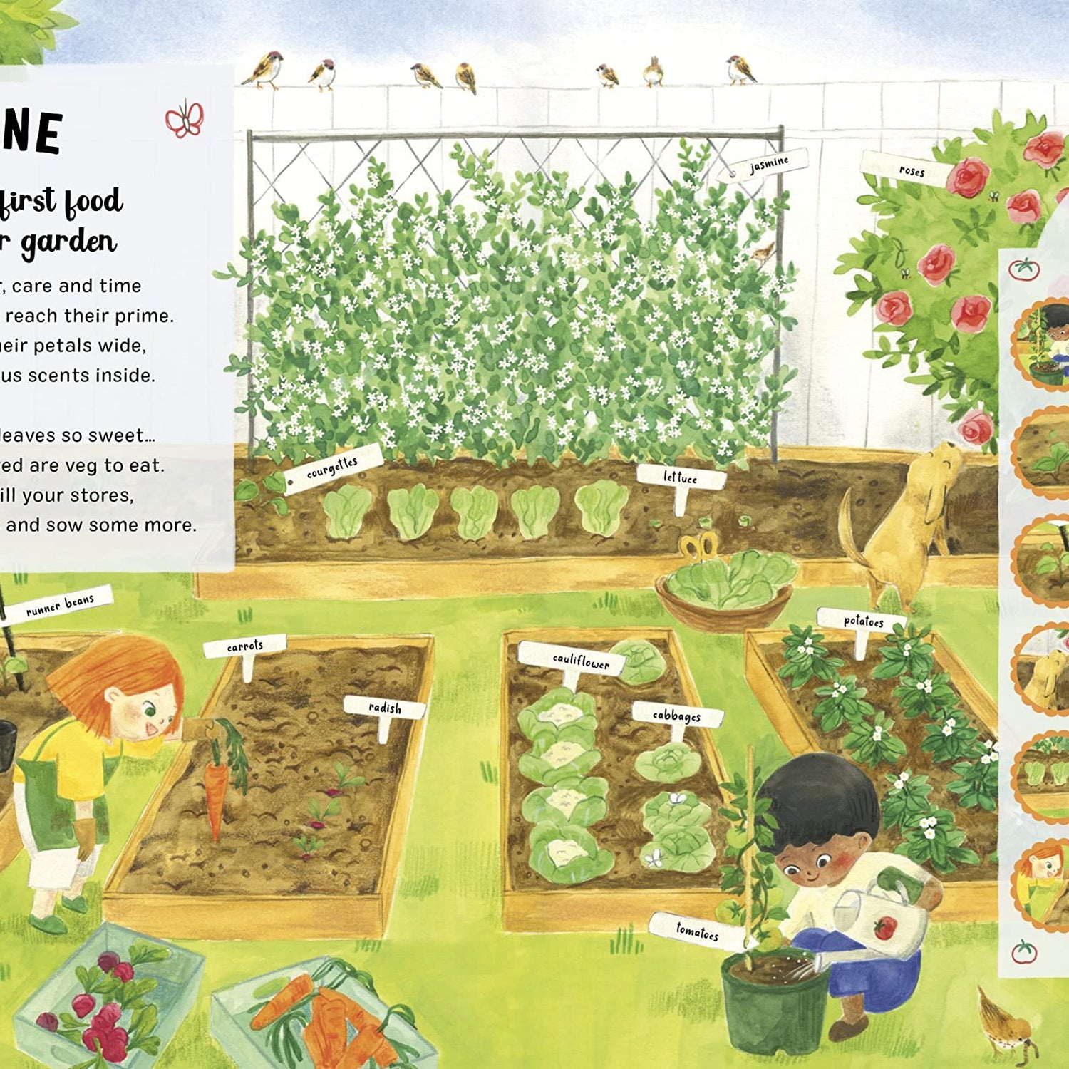 Feel Good Gardening