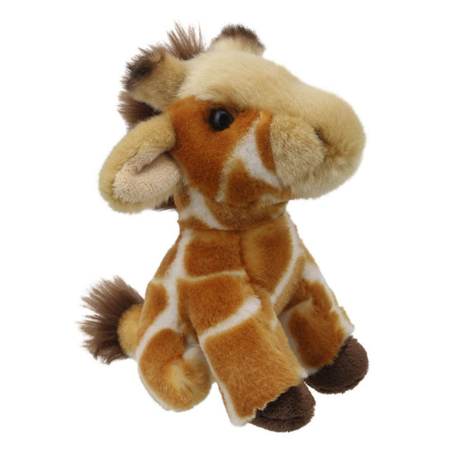 Little Giraffe Soft Toy