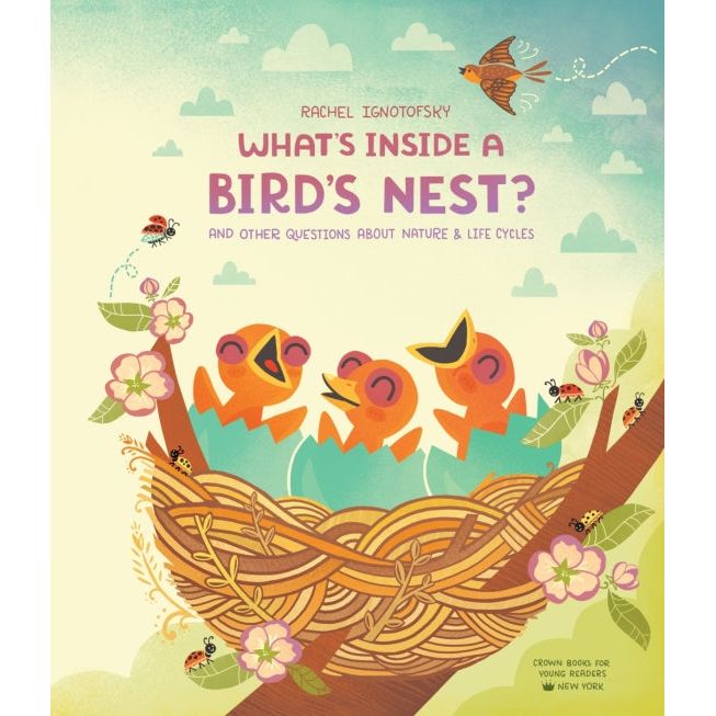 What’s Inside a Bird’s Nest?