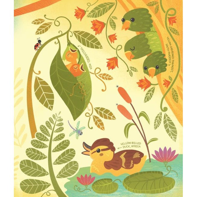 What’s Inside a Bird’s Nest?