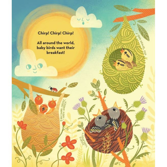 What’s Inside a Bird’s Nest?