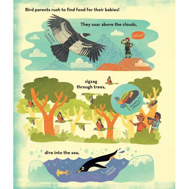 What’s Inside a Bird’s Nest?