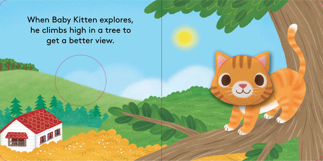 Baby Kitten Finger Puppet Book
