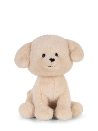 Loulou Labrador