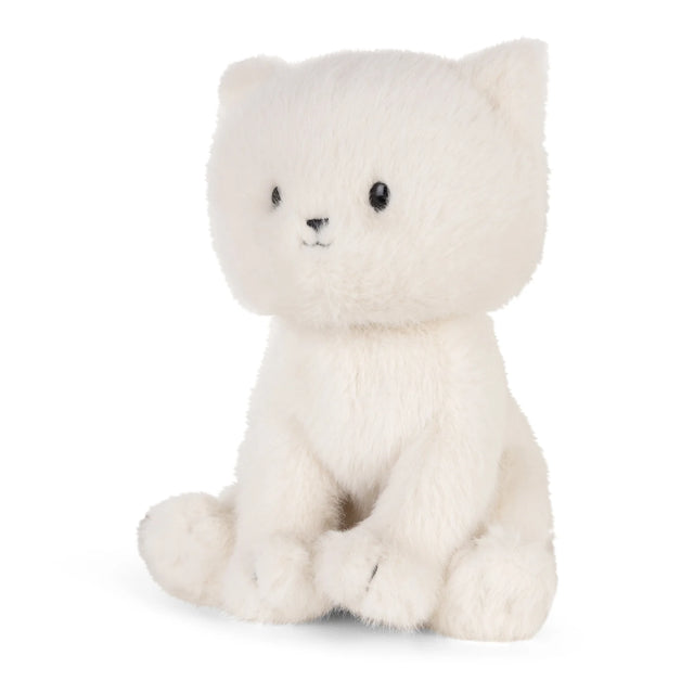 Dolly Ragdoll Kitten