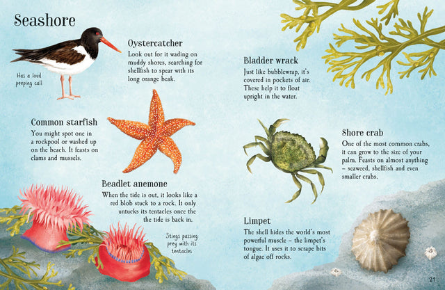 Usborne Minis: Things To Spot In Summer