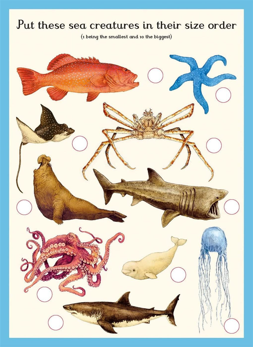 Oceanarium Activity Book