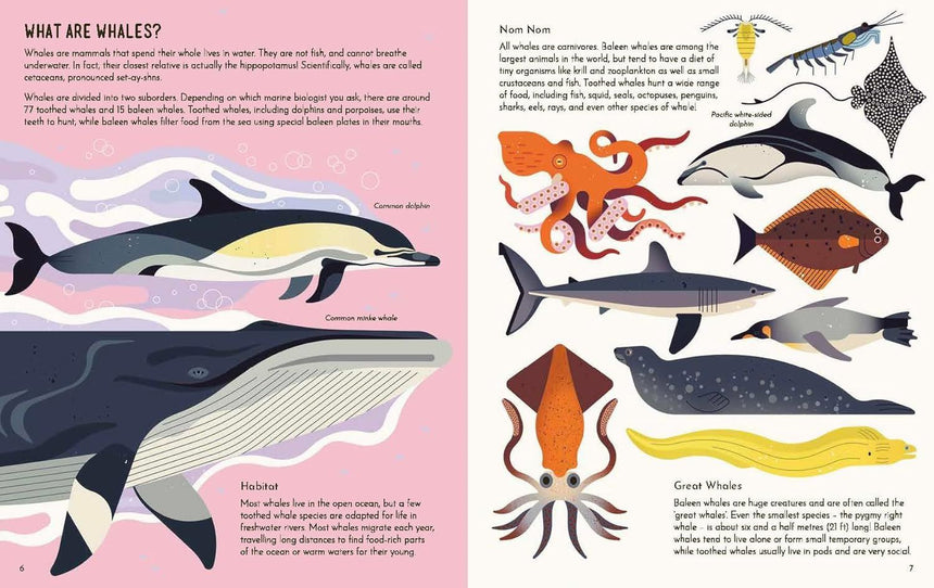 Wild About Whales