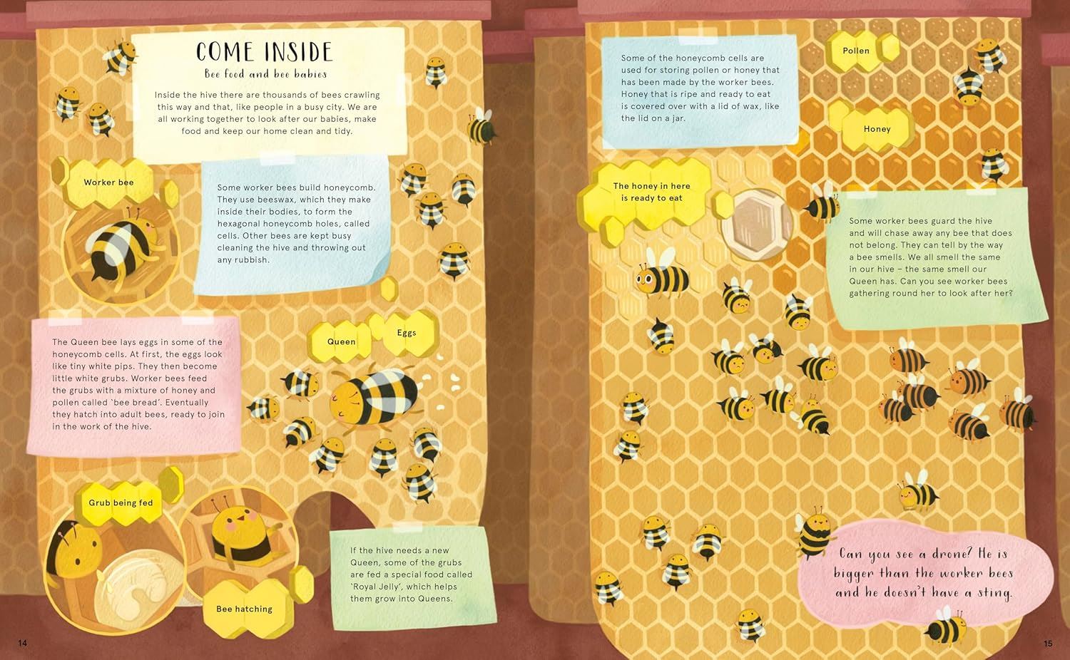 Secret Life Of Bugs Bees And Trees