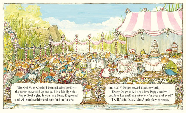 Summer Story (Brambly Hedge)