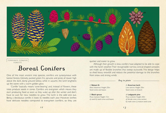 Arboretum Mini Gift Edition