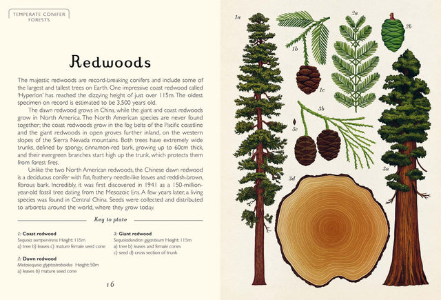 Arboretum Mini Gift Edition