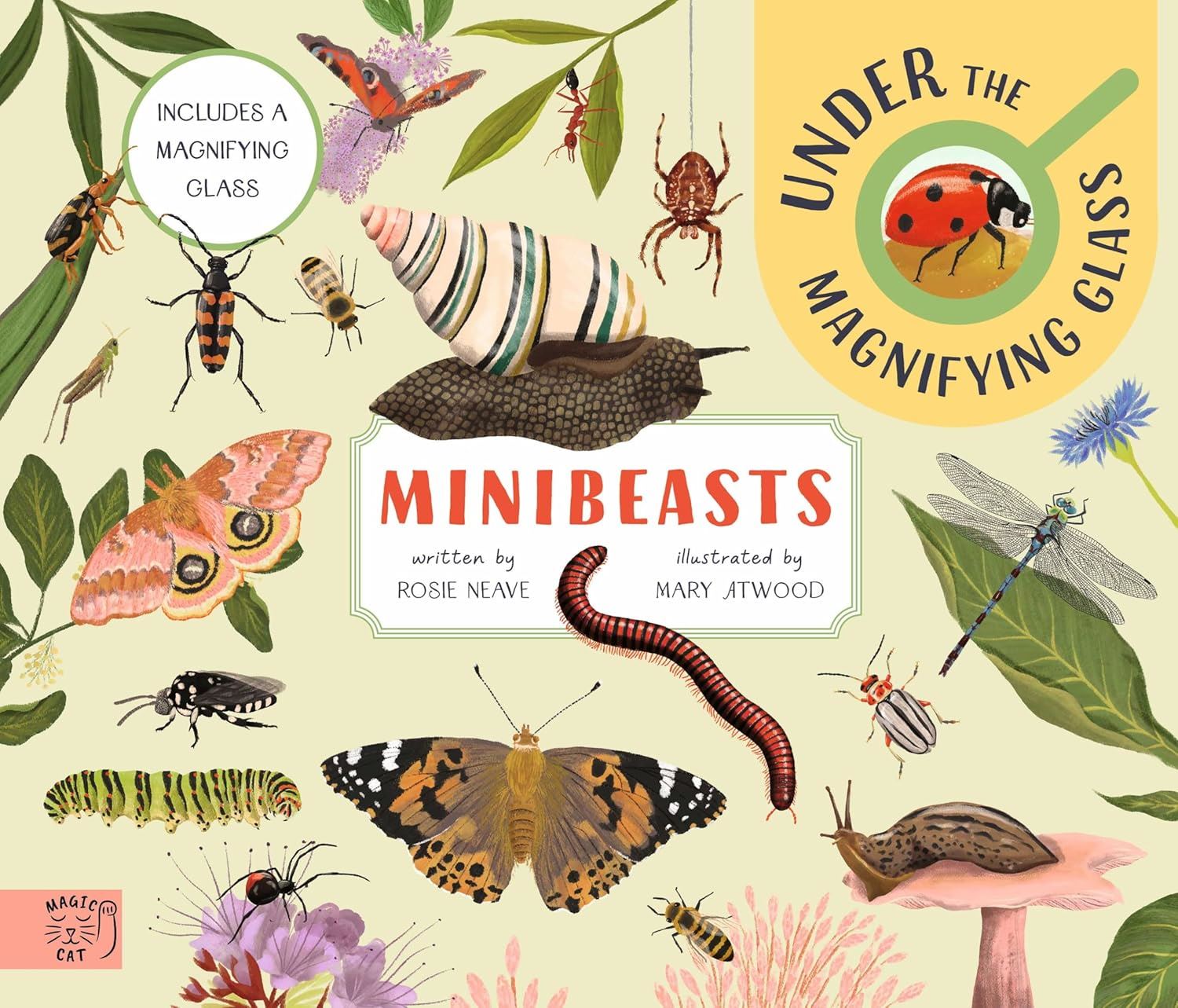 Mini Beasts Under The Magnifying Glass