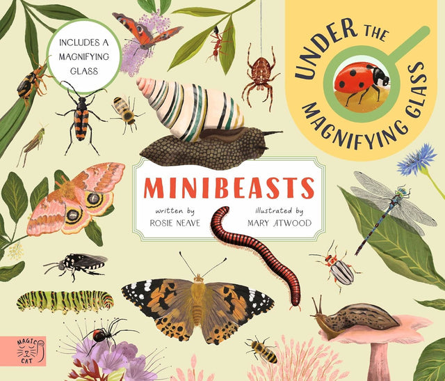 Mini Beasts Under The Magnifying Glass
