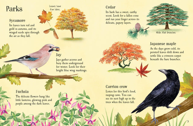 Usborne Minis: Things To Spot In Autumn