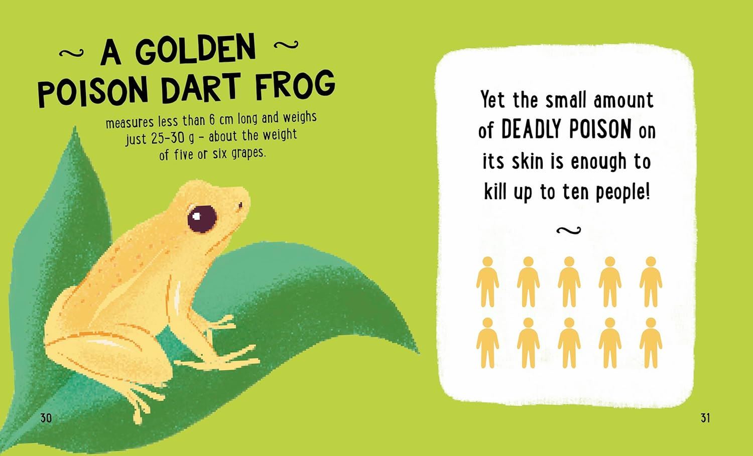 Small And Mighty Book Of Deadly Creatures