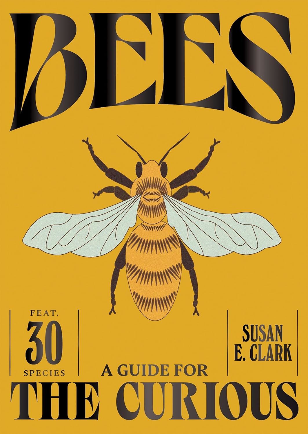 Bees: A Guide For The Curious