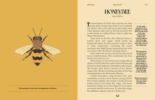 Bees: A Guide For The Curious