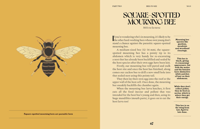 Bees: A Guide For The Curious