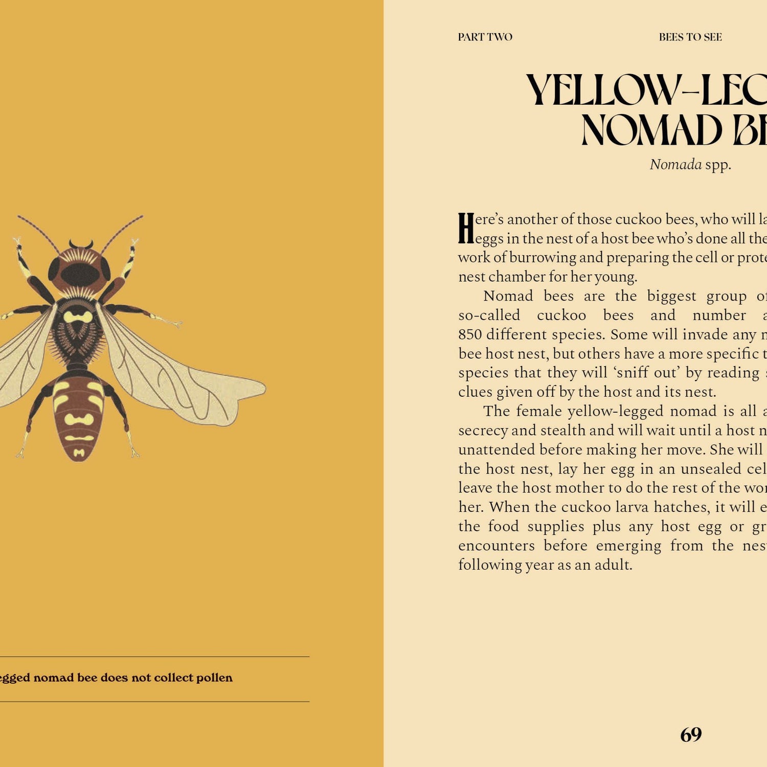 Bees: A Guide For The Curious