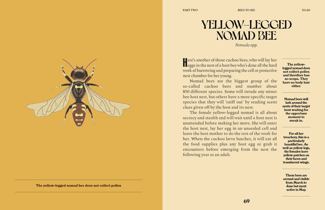 Bees: A Guide For The Curious