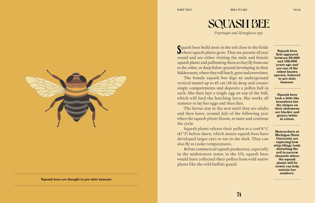 Bees: A Guide For The Curious