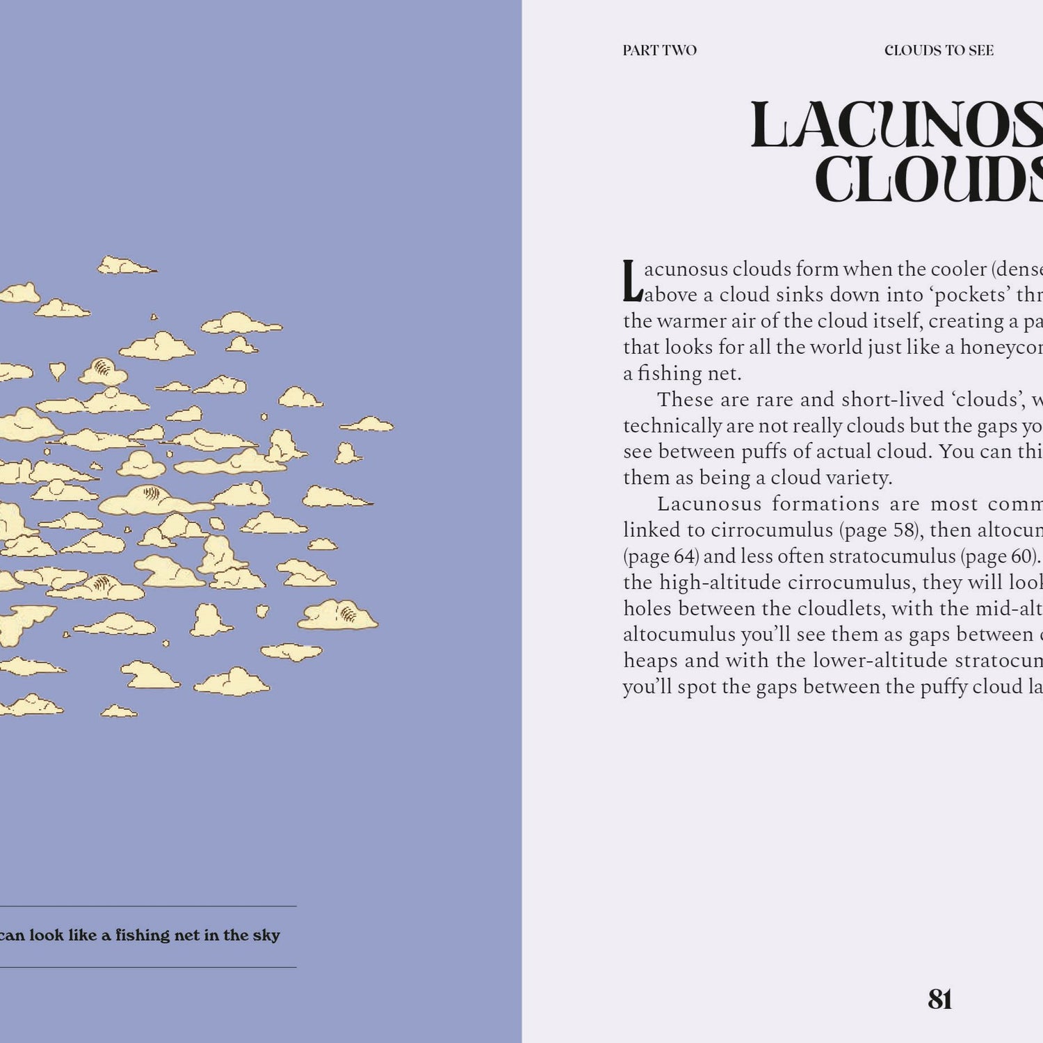 Clouds: A Guide For The Curious