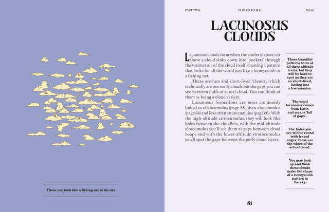 Clouds: A Guide For The Curious