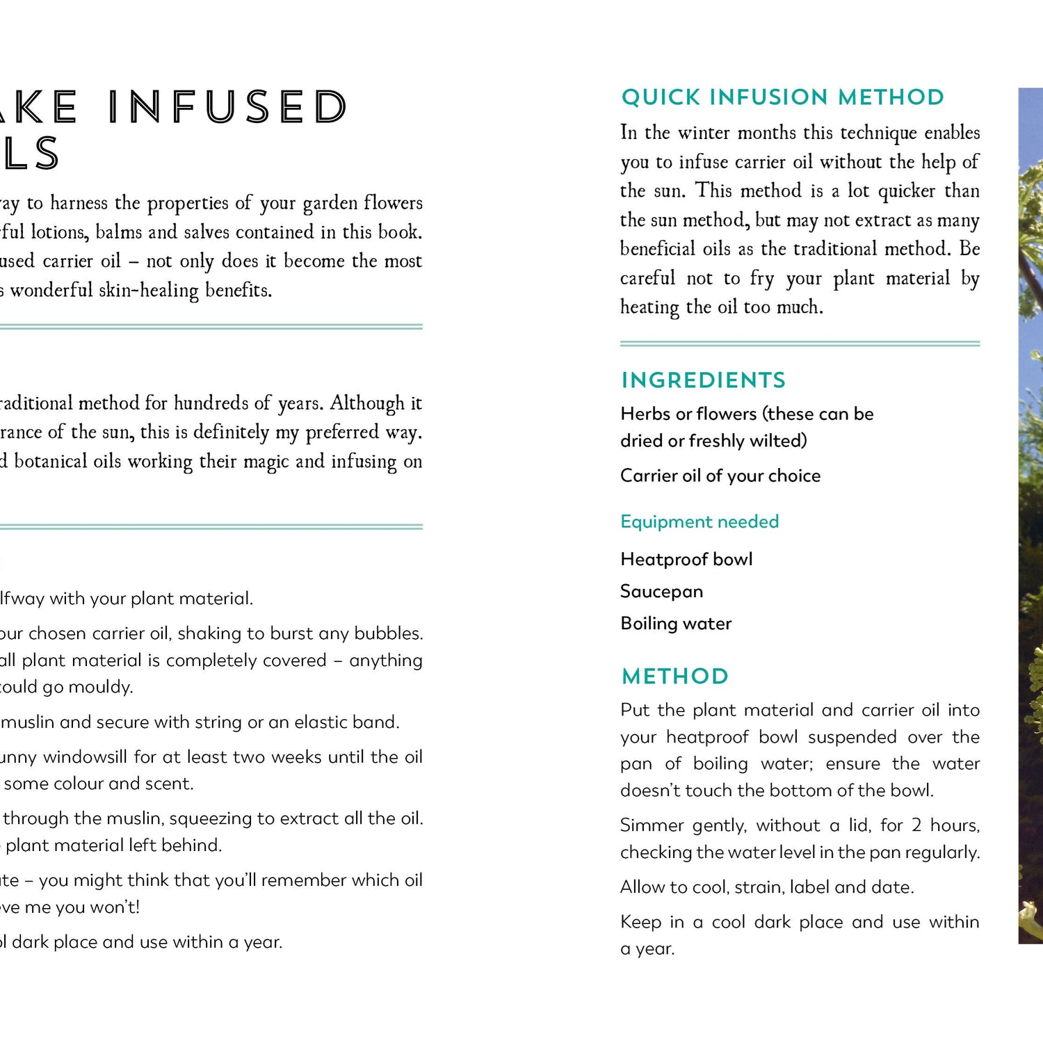 Herbal Apothecary: Recipes, Remedies & Rituals