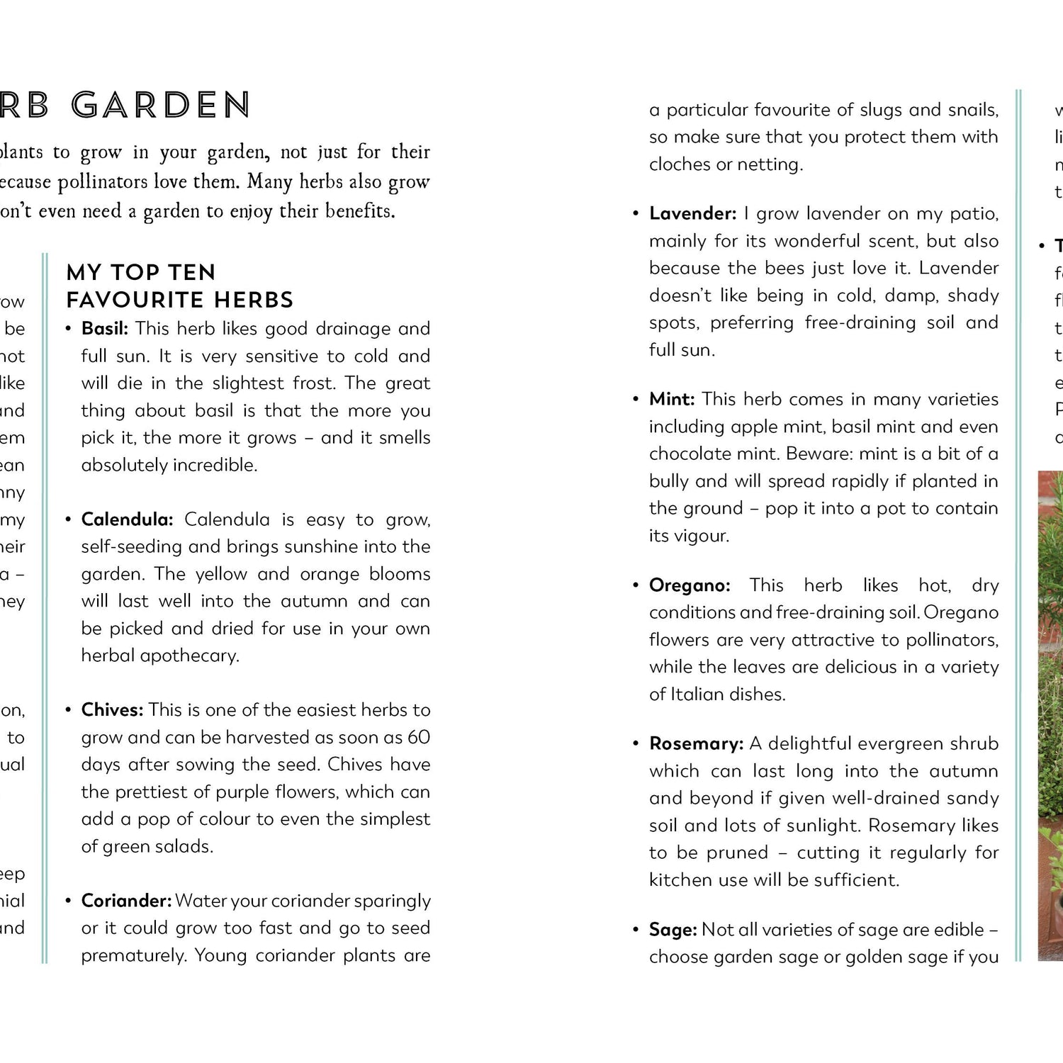 Herbal Apothecary: Recipes, Remedies & Rituals