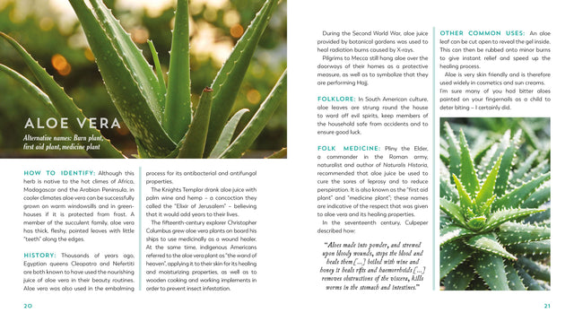 Herbal Apothecary: Recipes, Remedies & Rituals