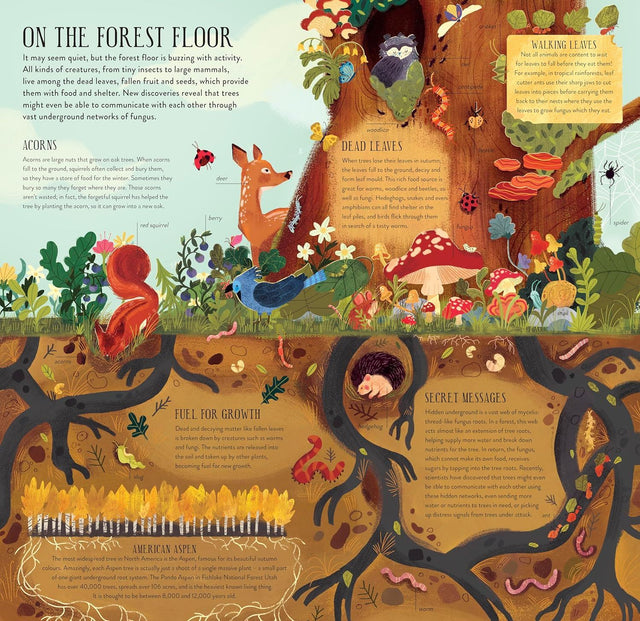 Build A Tree (Make & Play)