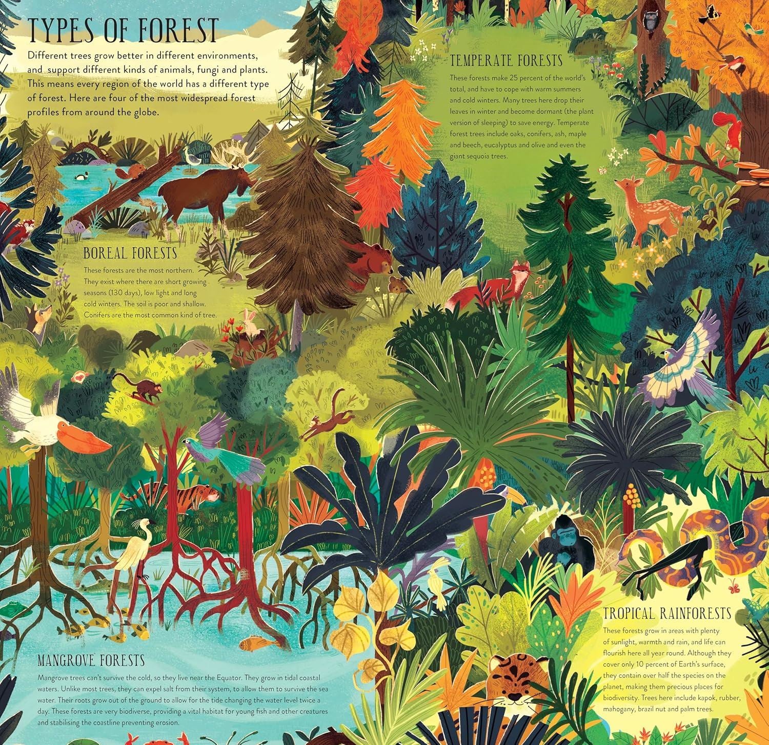 Build A Tree (Make & Play)