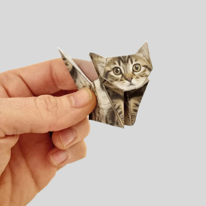 Paper Cats Origami Kit