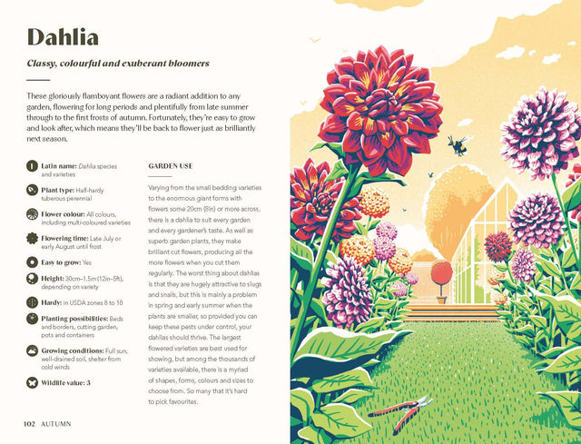 Planting For A Year Of Flowers